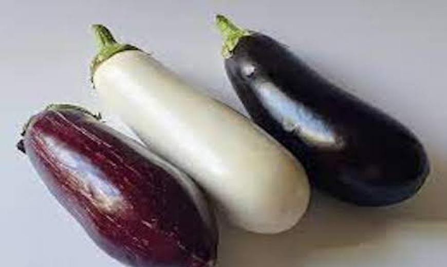 Aubergine