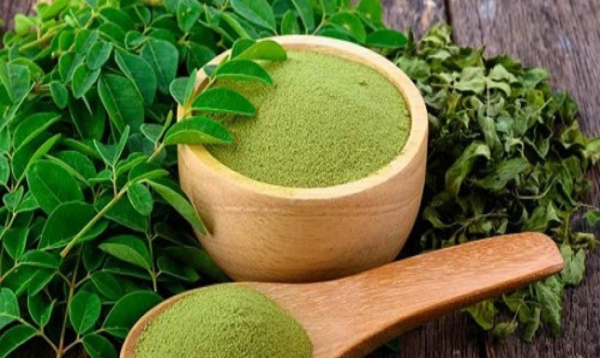 Moringa